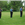 Three officers in uniform standing at attention with  rifles in hand in grass