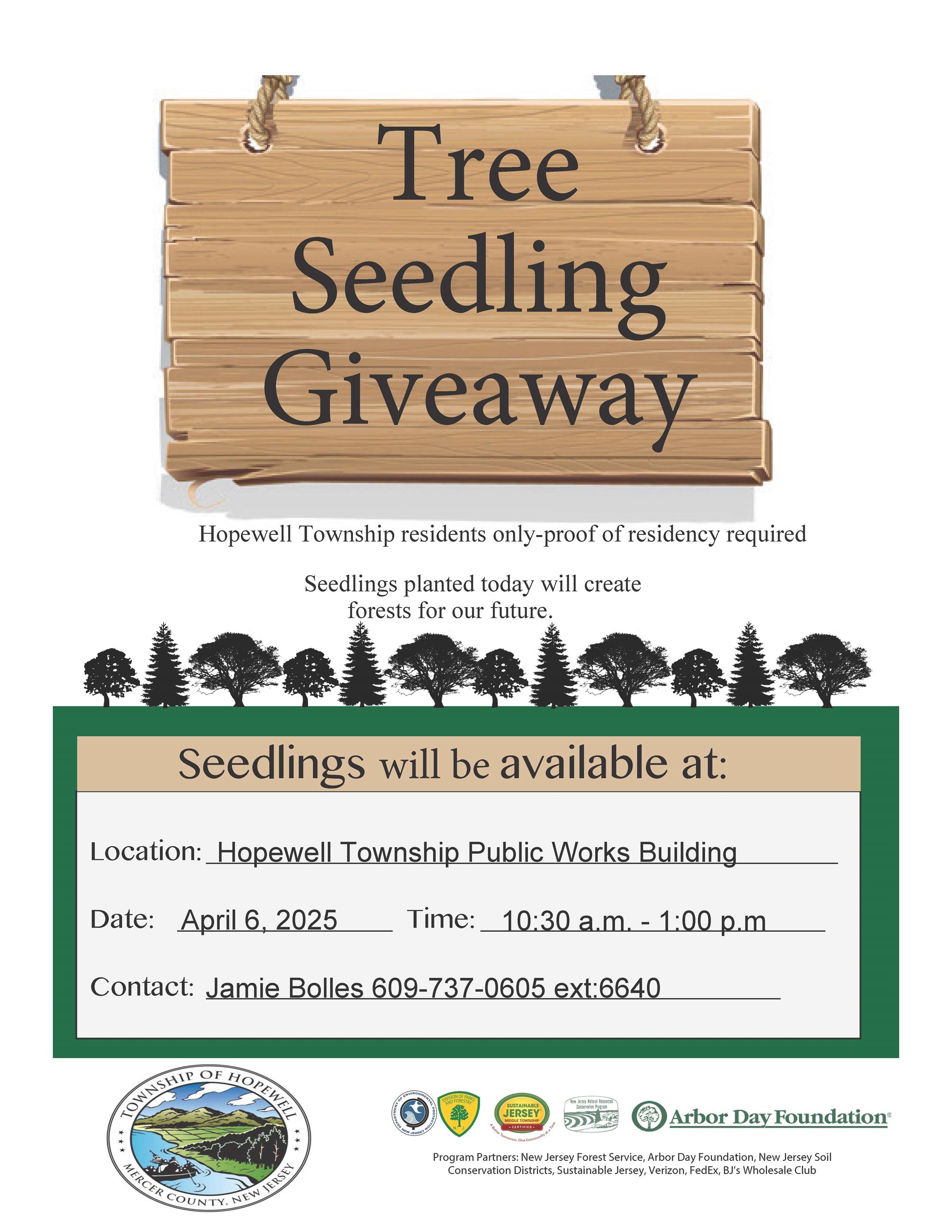 Flyer Tree Seedlings 2025 Final