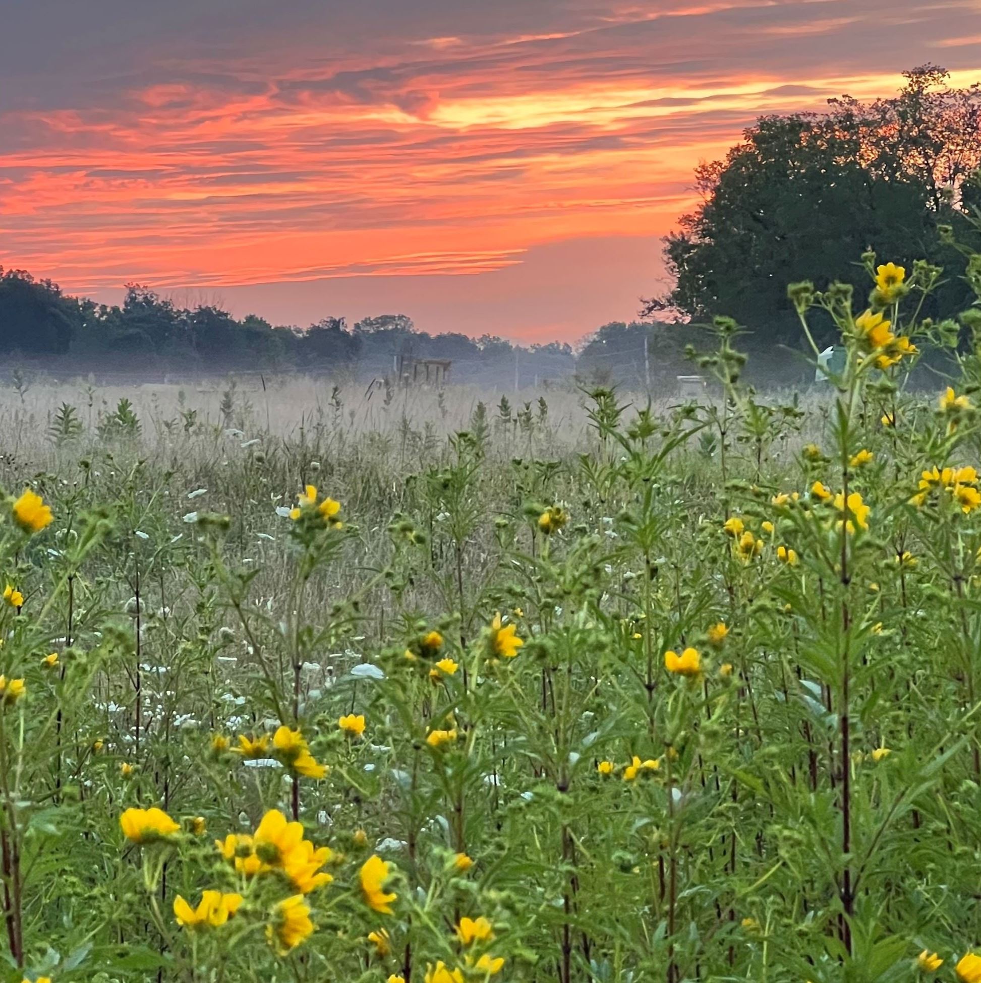 Image 5 Hopewell Twp