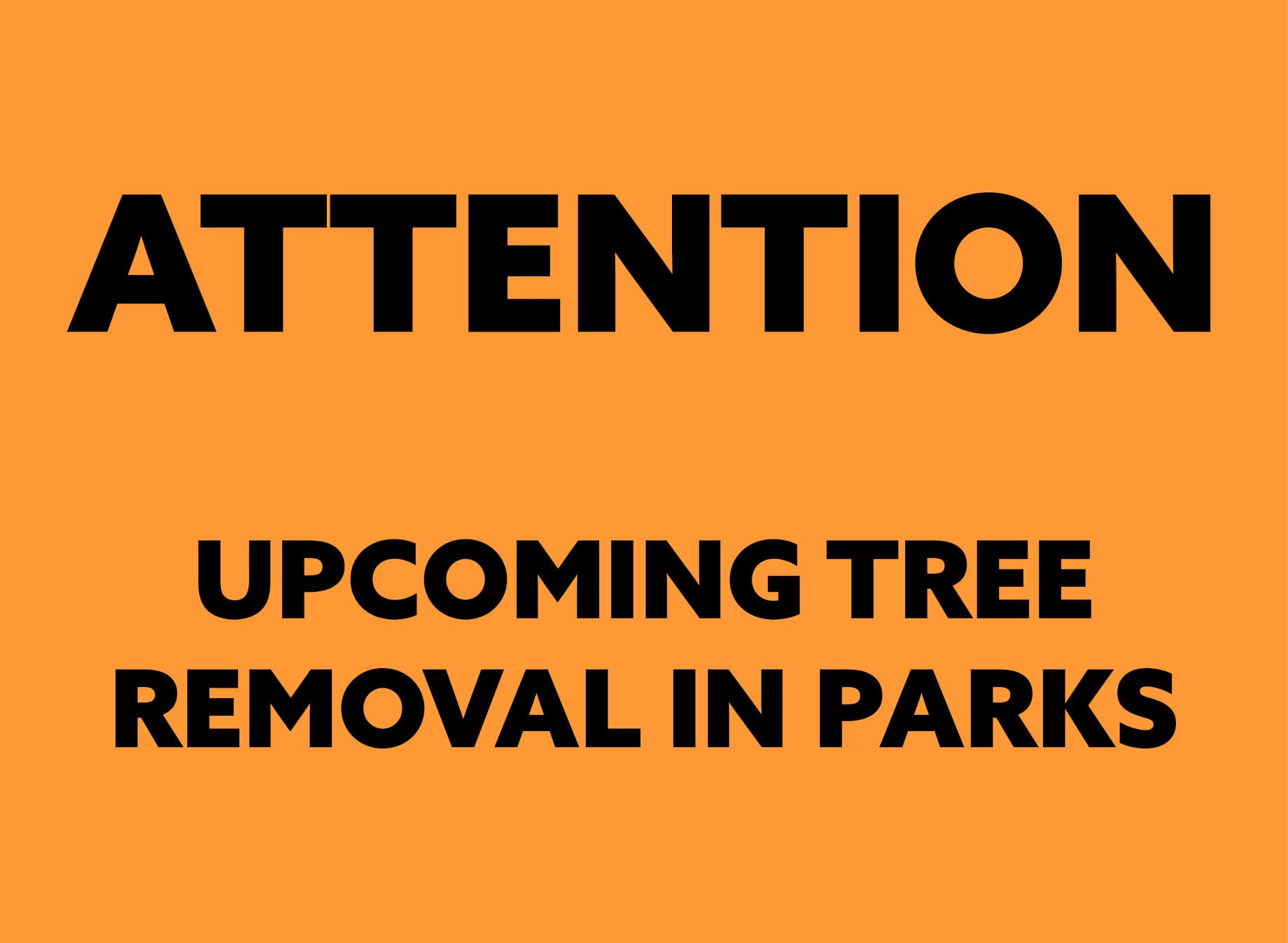 tree removal in parks 