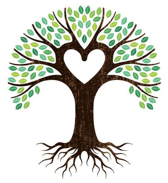 senior services logo