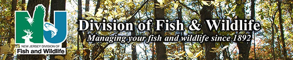 NJ fish and wildlife long logo
