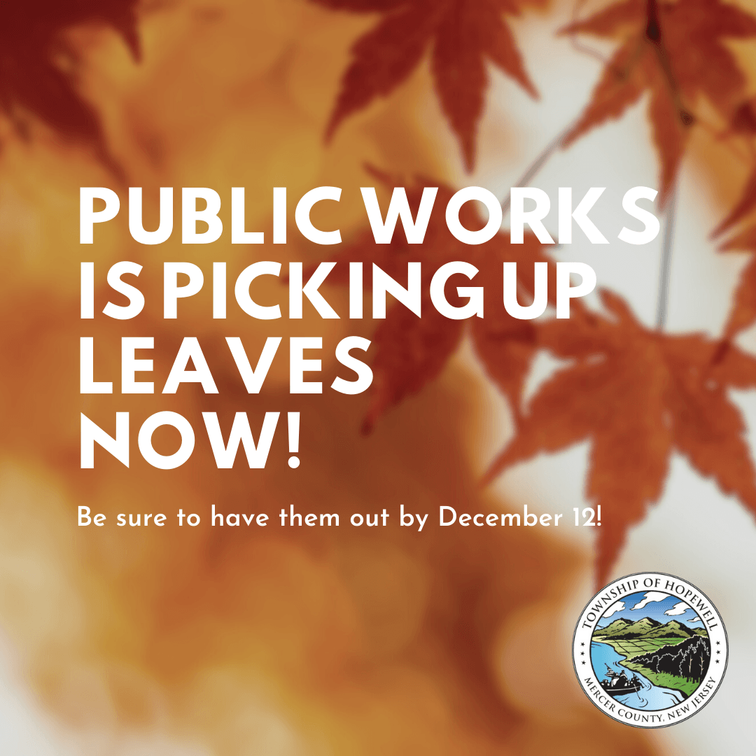 public works leaf pickup. have them out by December 12.