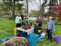 master gardeners surrounding a table filled with plants for a sale