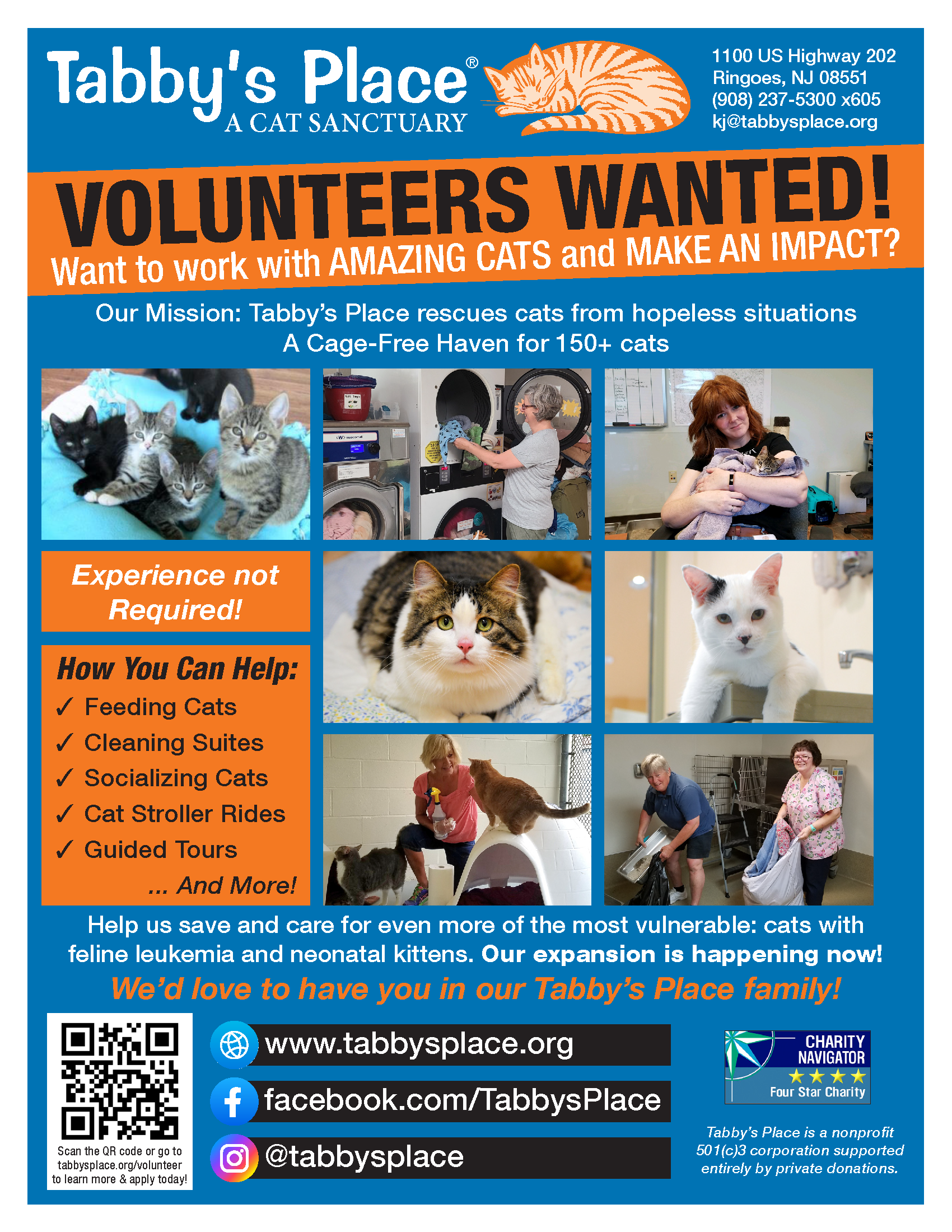 Tabbys Place Volunteer Flyer