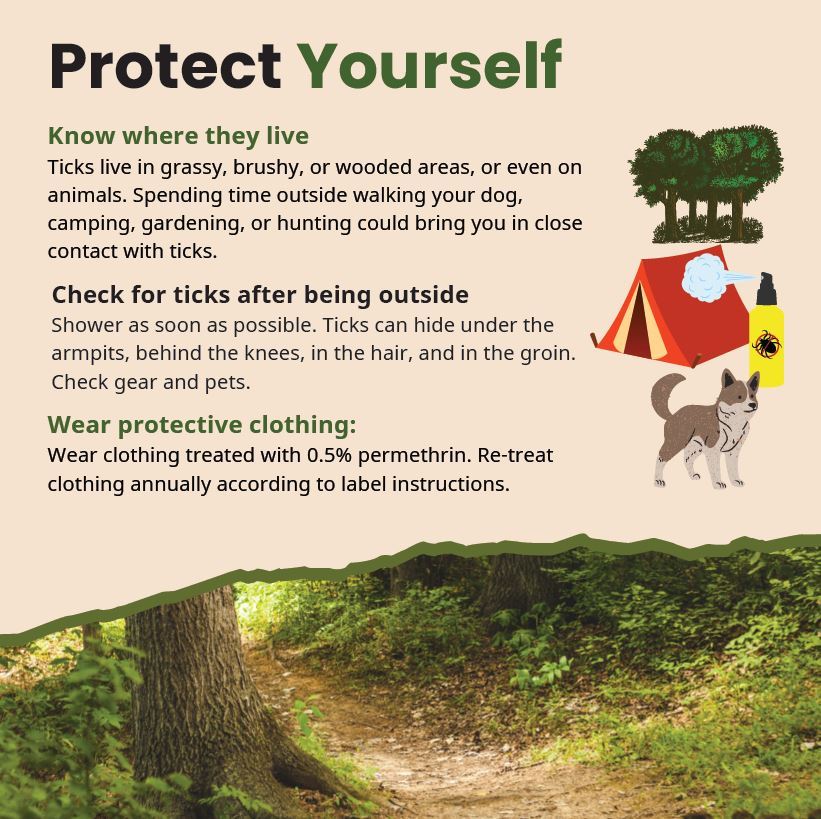 images of the woods, a dog, and camping. Hints for protecting yourself from ticks