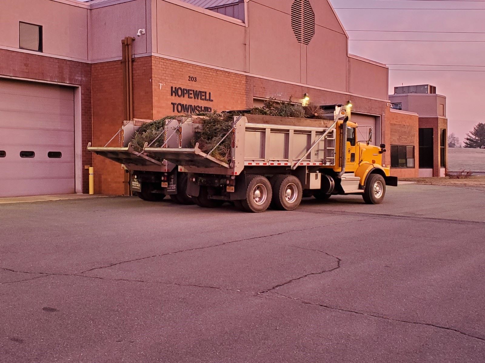 Christmas trees loaded in Township Public Works trucks