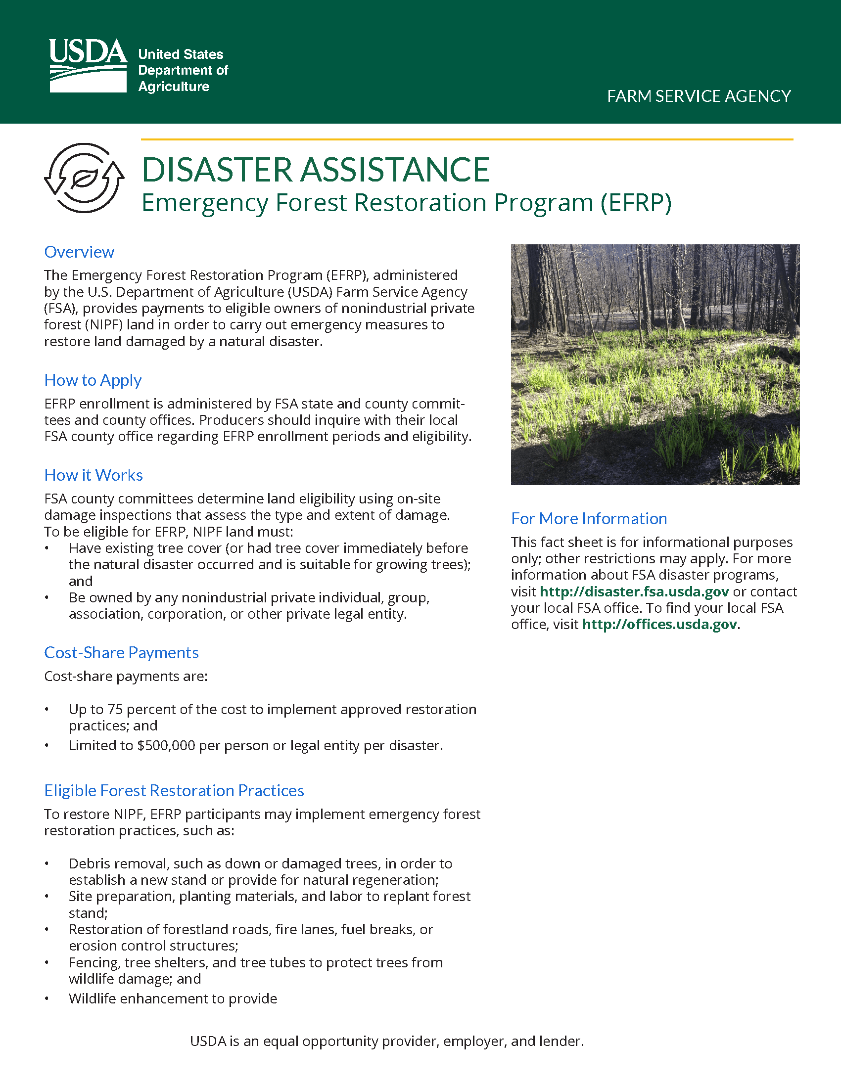 emergency_forest_restoration_program-fact_sheet