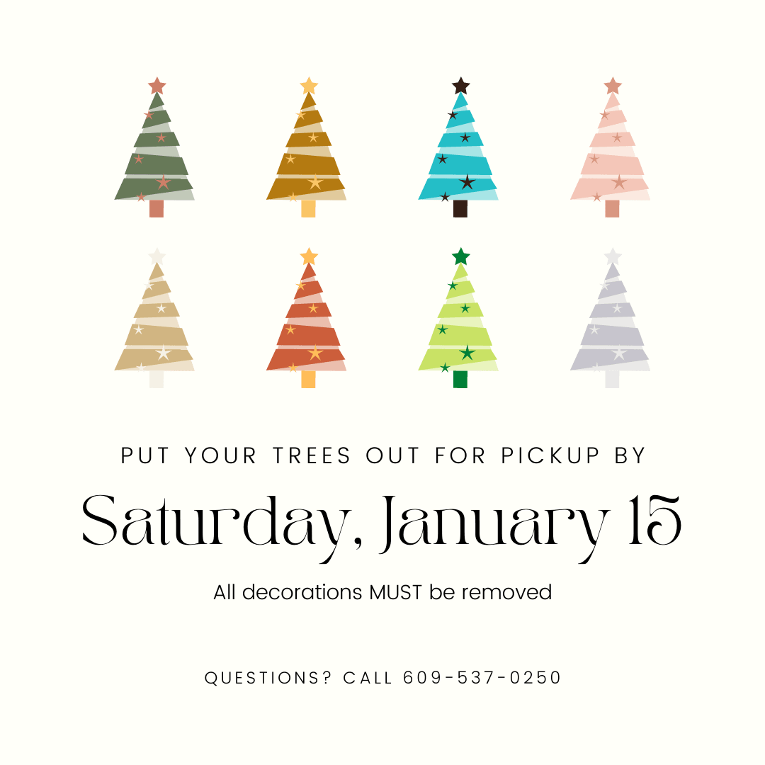 Christmas Tree pickup by January 15