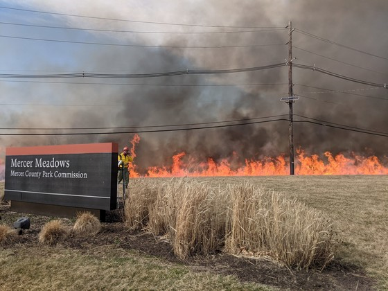 burning mercer meadows