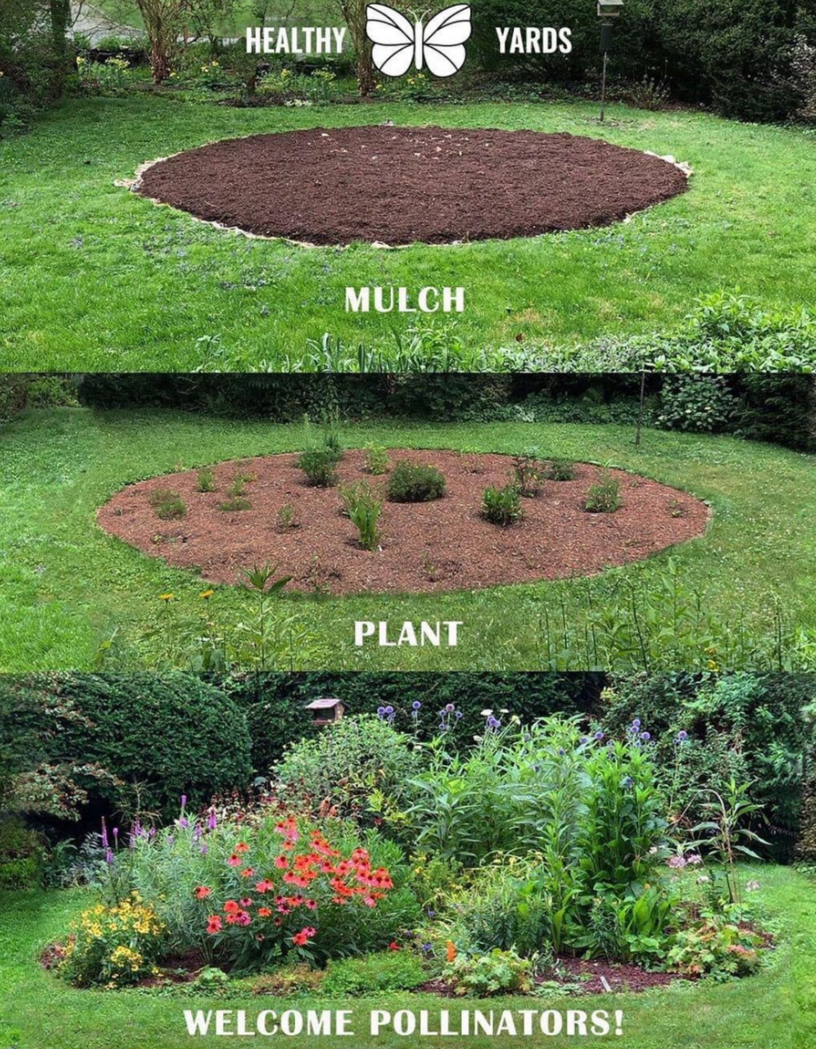 native garden progression