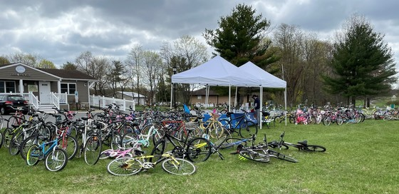 large number of bikes under a tent in a park and sunny skies