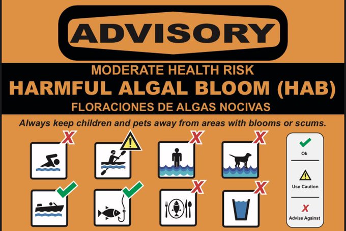 harmful algal bloom